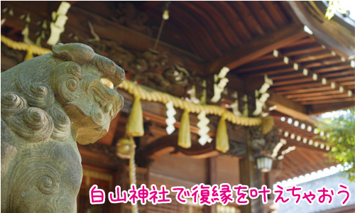 白山神社は縁結びの中でも特にアレに効く！紫陽花もおすすめ