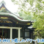 王子神社には開運と癒しのパワーがあふれる神社でした