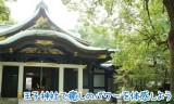 王子神社には開運と癒しのパワーがあふれる神社でした