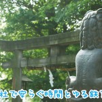 初夏の神社は風情があります！諏方神社でゆる鉄も★