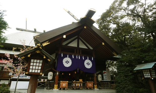 東京五社を巡って格式高い神社のパワーをいただこう！