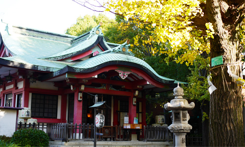 亀岡八幡宮は大切なペットと一緒に参拝できる神社