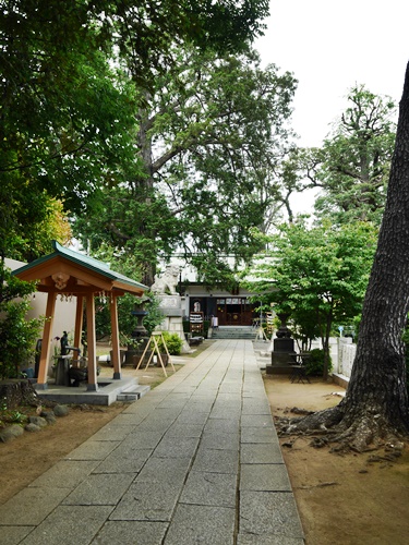 下神明天祖神社は榧の御神木がパワースポット！驚きの見どころとは