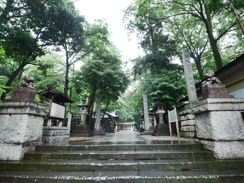 調神社でウサギにツキをいただこう 浦和レッズもご贔屓のご利益とは みかた らぼ