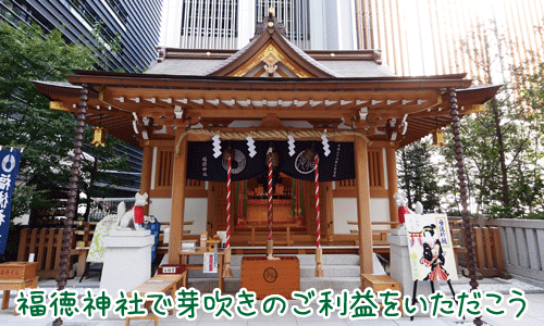 福徳神社は日本橋を守護するパワースポット！芽吹きのご利益を授かろう