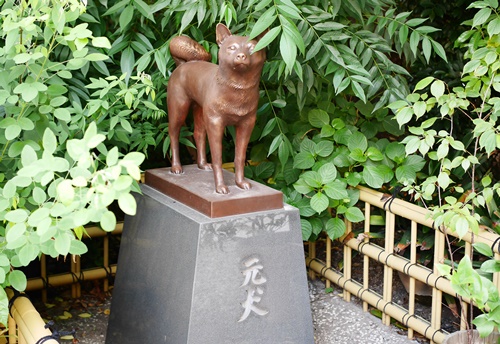 蔵前神社は神様が勢揃いのご利益さん！運が良ければ猫に会える神社