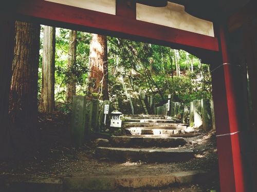 日光二荒山神社中宮祠でご利益をいただこう！男体山の浄化パワーも凄い！